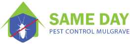 Sameday Pest Control  And Repairs