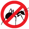 Ant Control Mulgrave